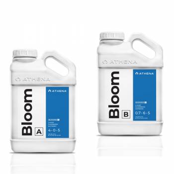 Athena Blended Line Bloom A+B 3.78 l