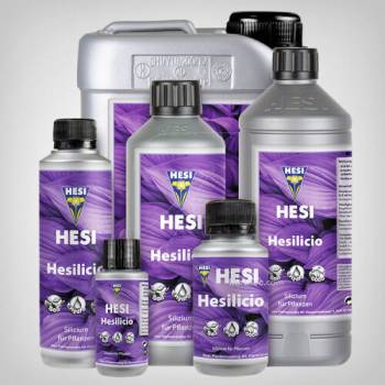 Hesi Hesilicio
