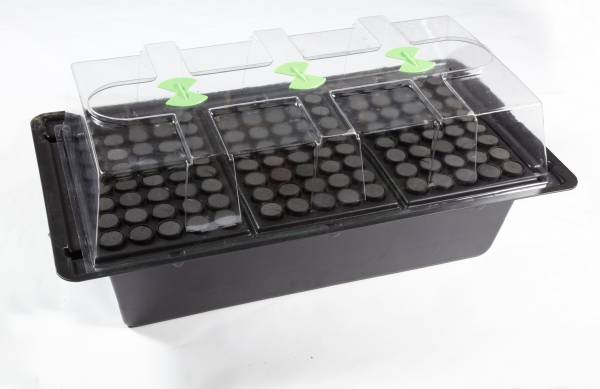 Nutriculture X Stream Hydro Gewächshaus 120er