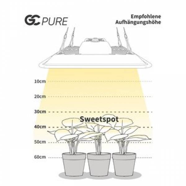 Greenception GC-Pure 80W