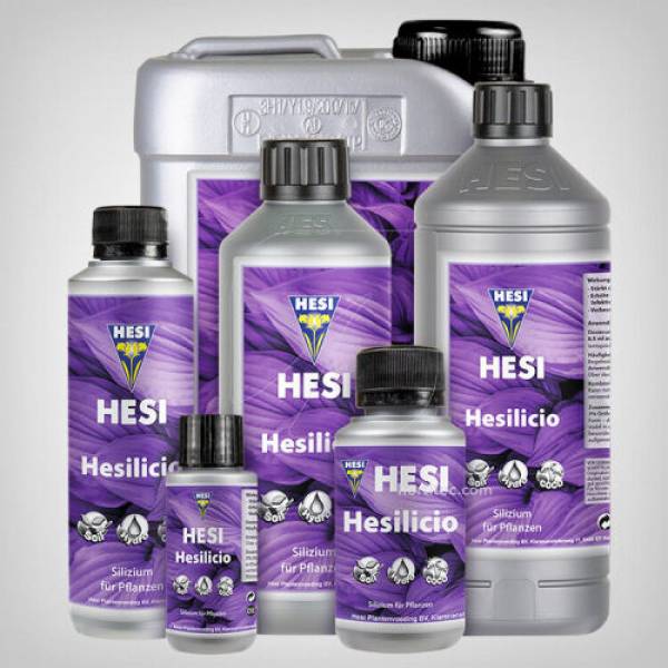 Hesi Hesilicio